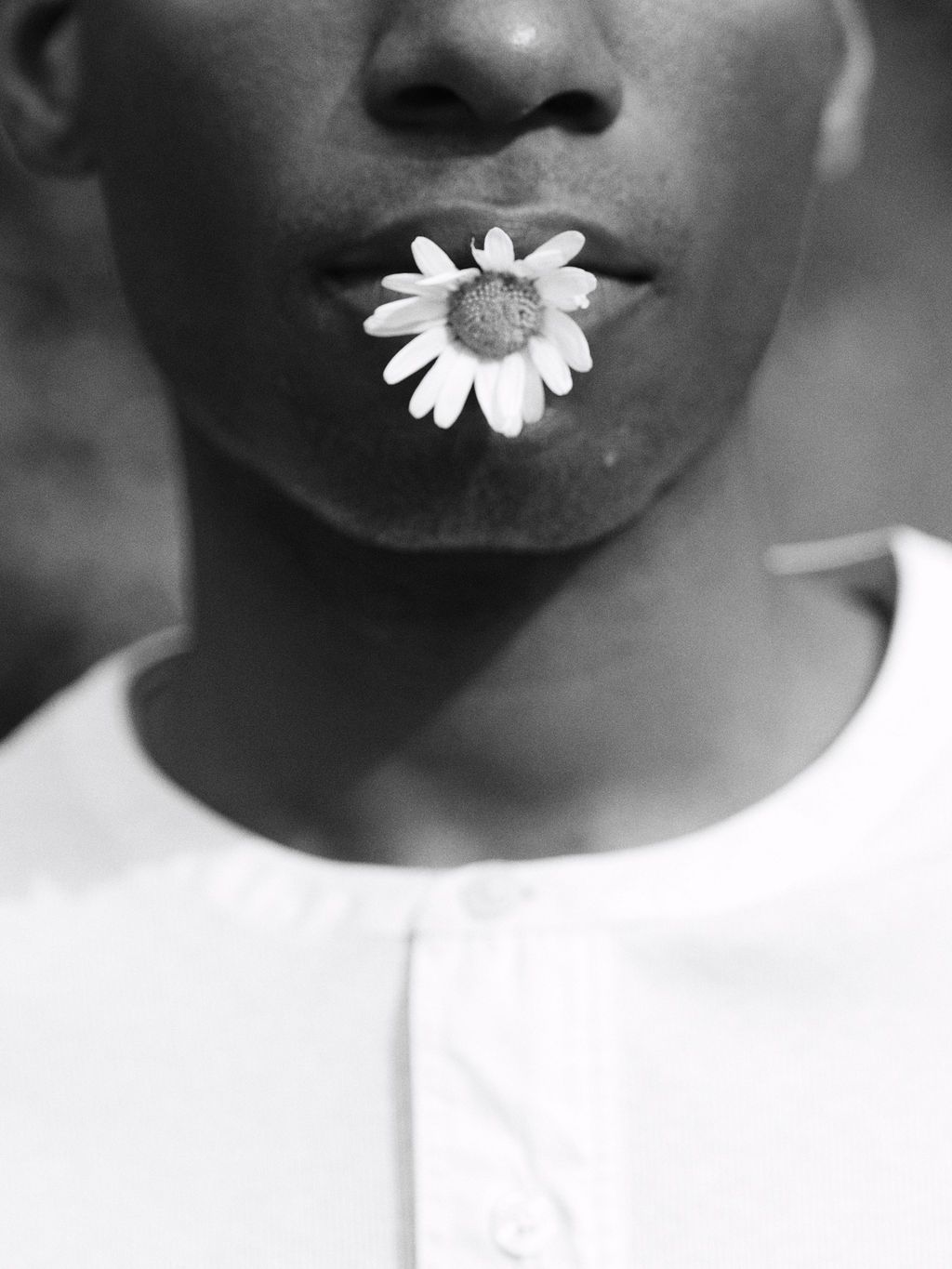 Photography — studio medina